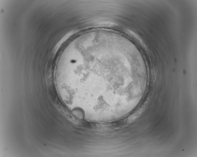 X0000079340875200612082022