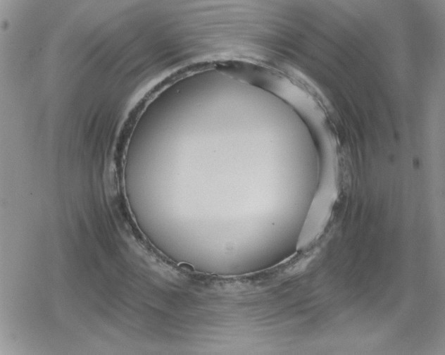 X0000079340876200612082022