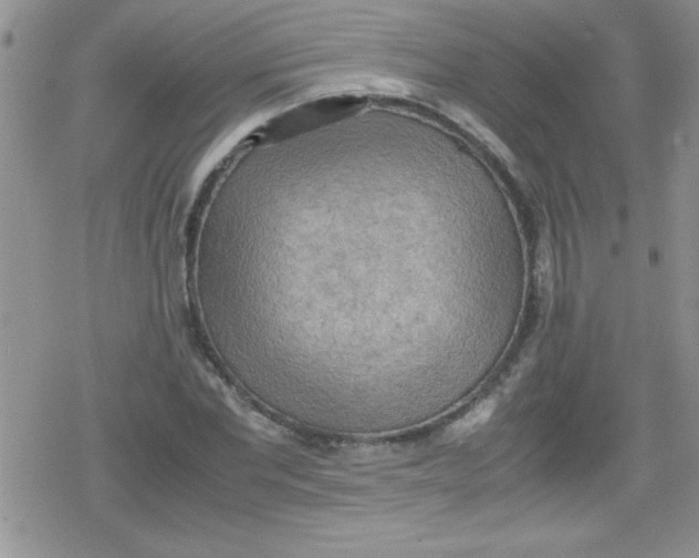 X0000079340877200612082022