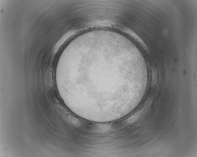 X0000079340878200612082022