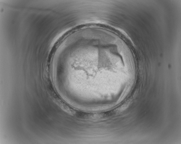 X0000079340879200612082022