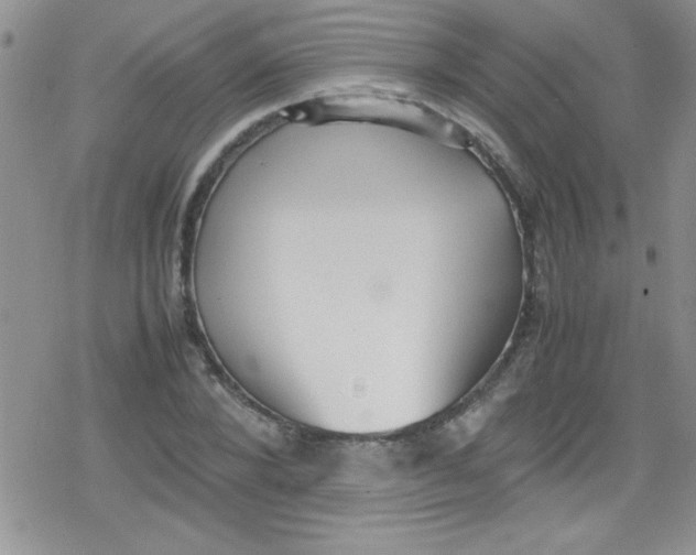 X0000079340880200612082021