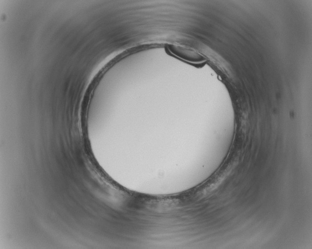 X0000079340884200612082021