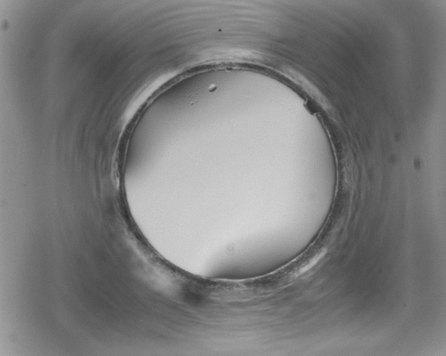 X0000079340885200612082021