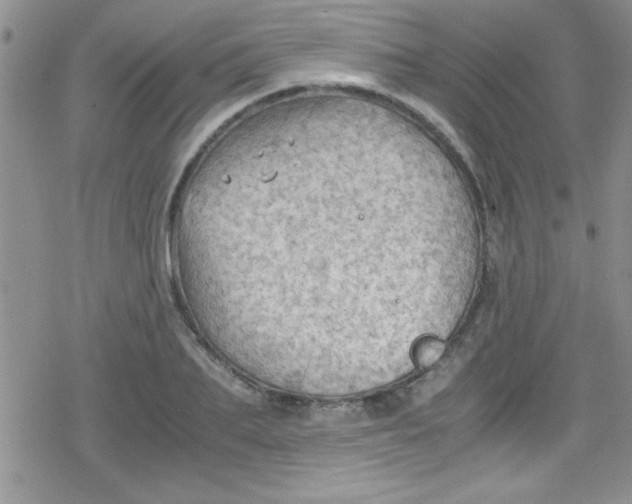 X0000079340887200612082021