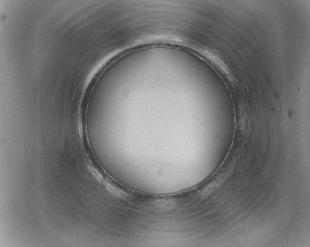 X0000079340888200612082021