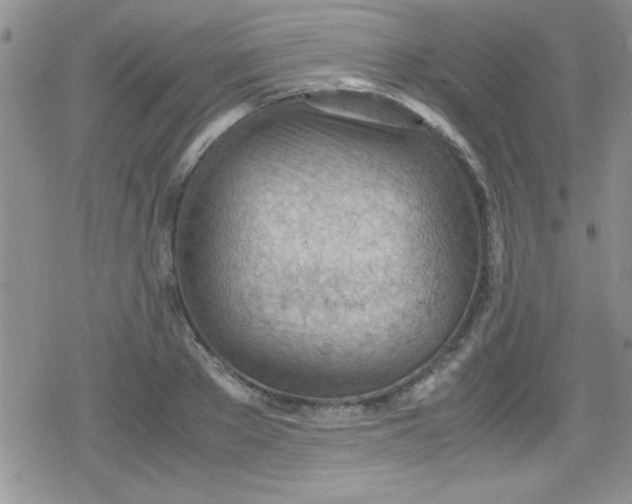 X0000079340889200612082021