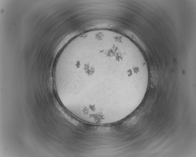 X0000079340890200612082021