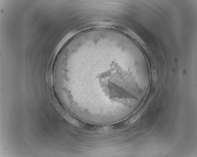 X0000079340891200612082021