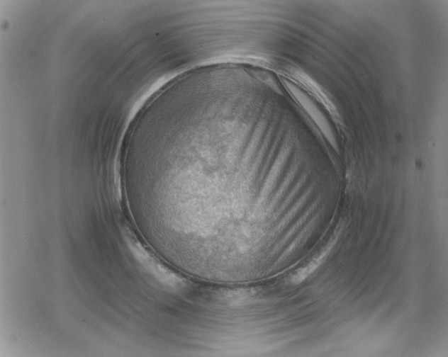 X0000079340892200612082021