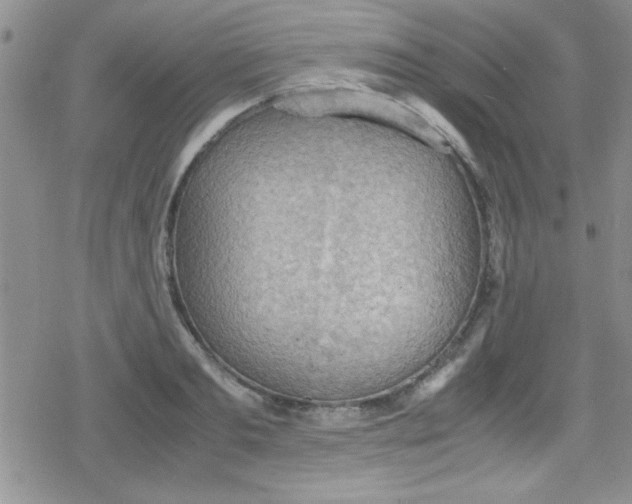 X0000079340893200612082021