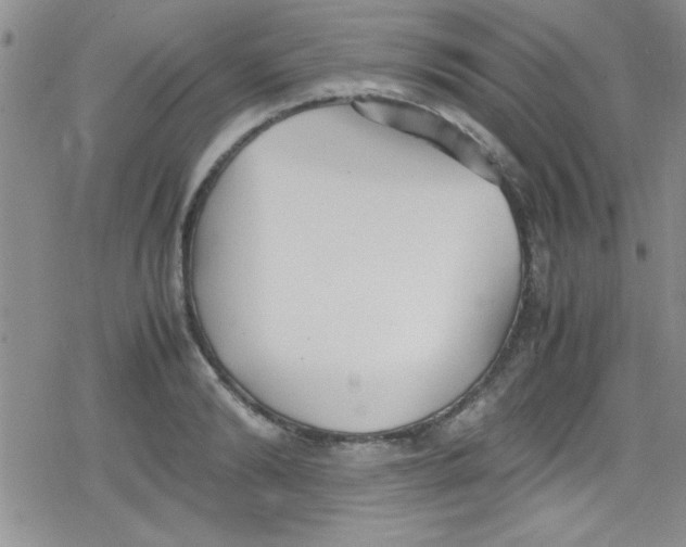 X0000079340894200612082021