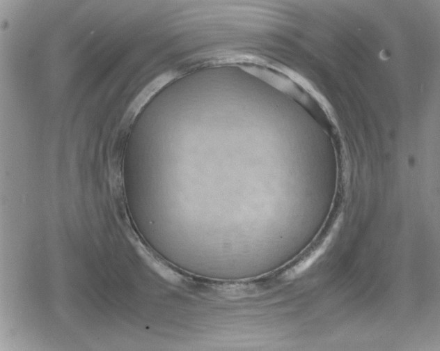 X0000079340897200612082021