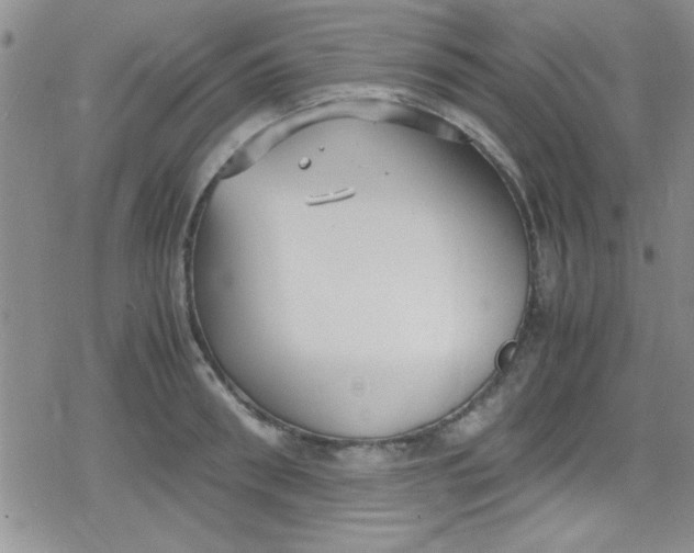 X0000079340898200612082021