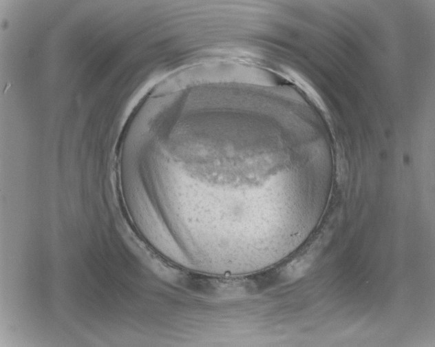 X0000079340899200612082021