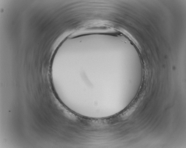 X0000079340901200612082021