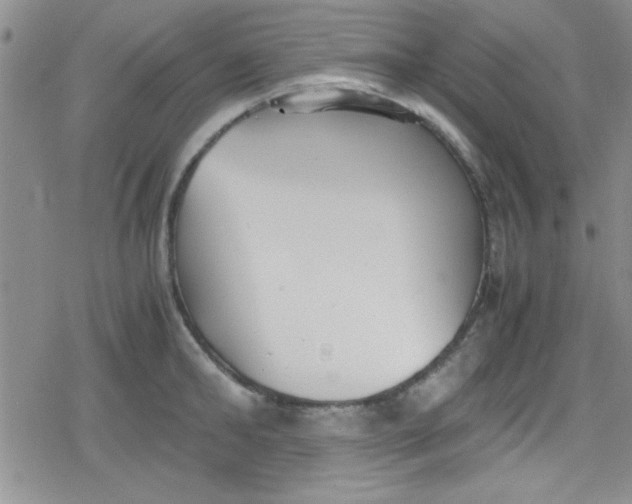 X0000079340902200612082021