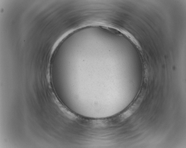 X0000079340904200612082021