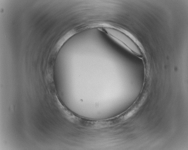 X0000079340905200612082021