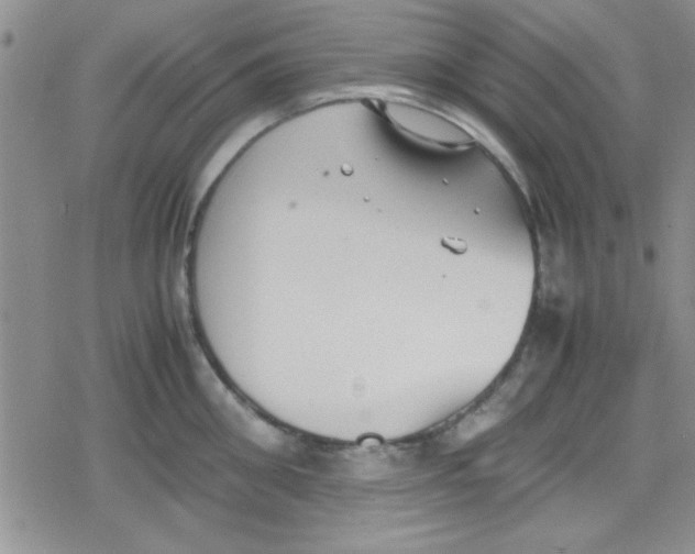 X0000079340906200612082021