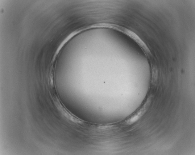 X0000079340908200612082021