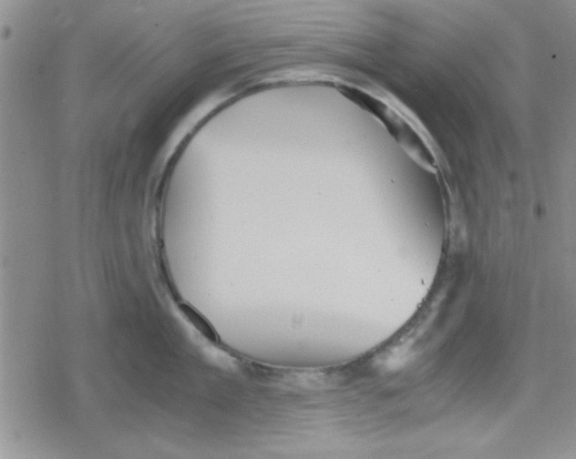 X0000079340909200612082021