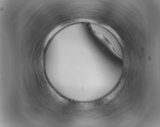 X0000079340910200612082021