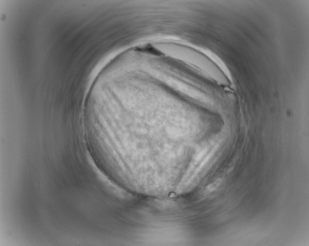 X0000079340911200612082021