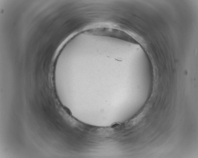 X0000079340912200612082021