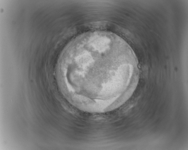 X0000079340913200612082020