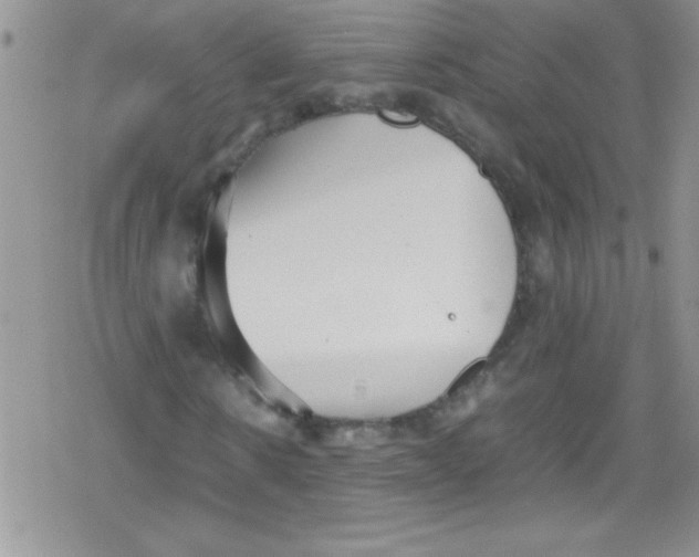 X0000079340914200612082020