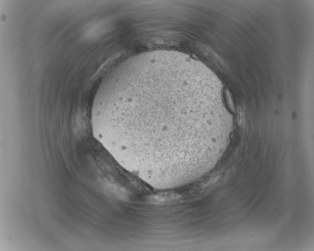 X0000079340915200612082020