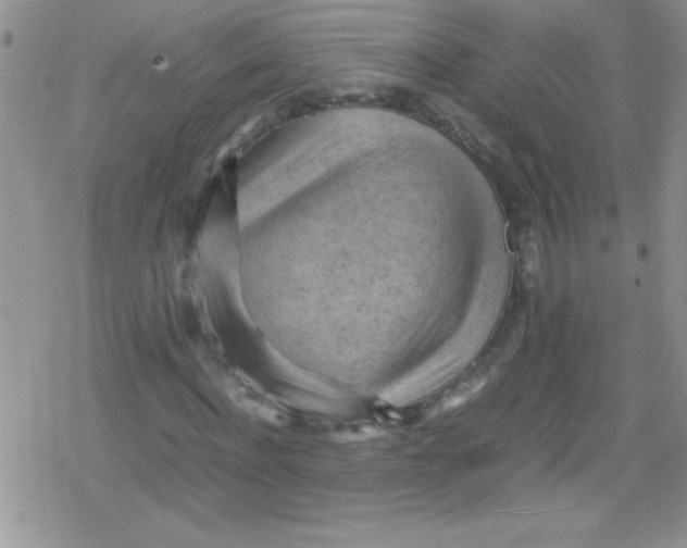 X0000079340916200612082020