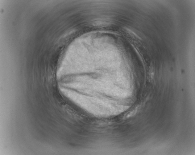 X0000079340917200612082020