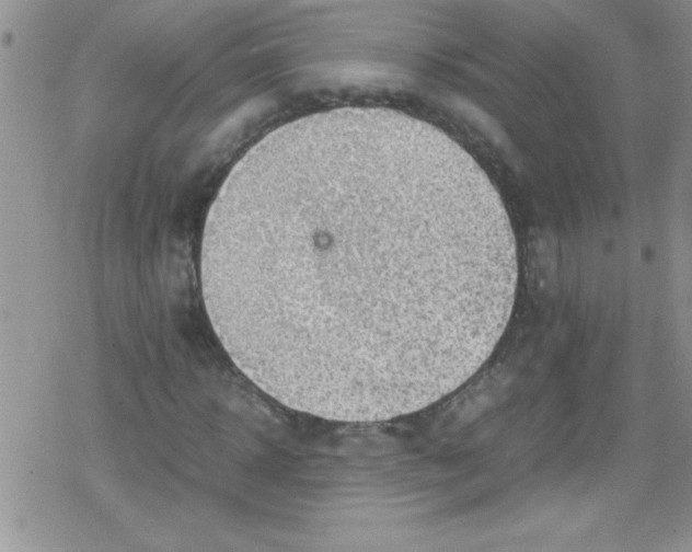 X0000079340918200612082020