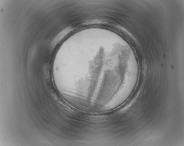 X0000079340921200612082020