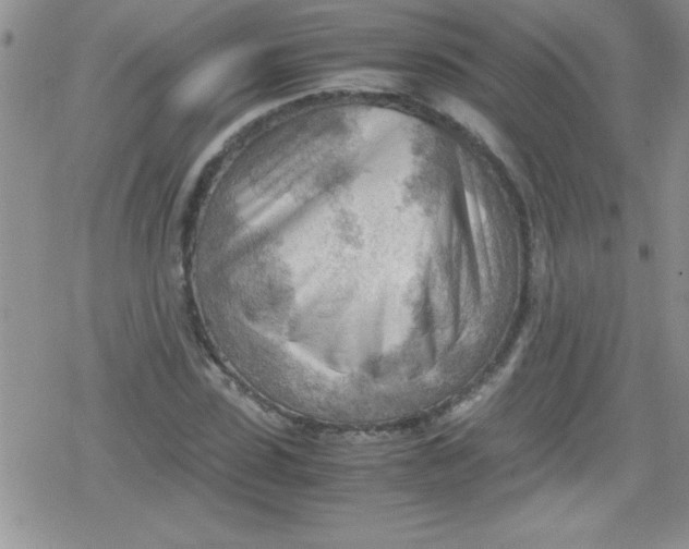 X0000079340923200612082020