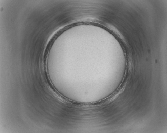 X0000079340924200612082020