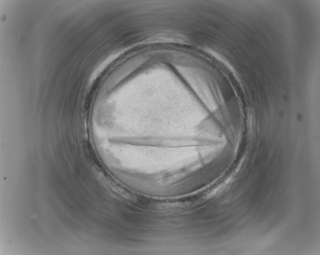 X0000079340925200612082020