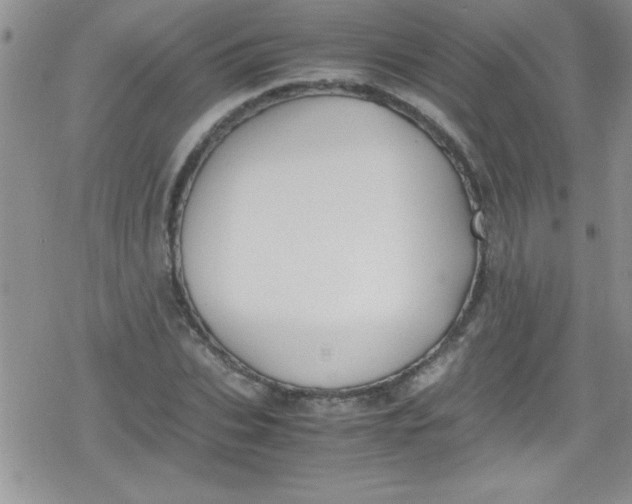 X0000079340927200612082020