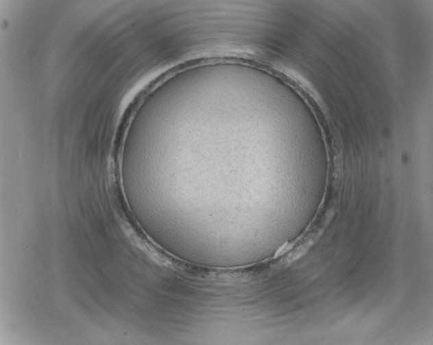 X0000079340928200612082020