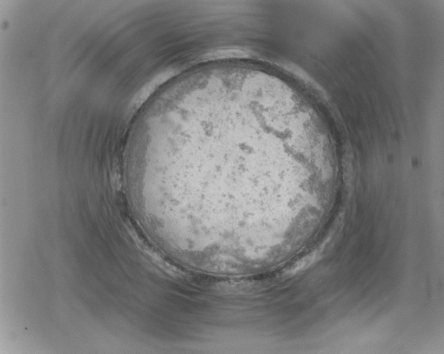 X0000079340929200612082020