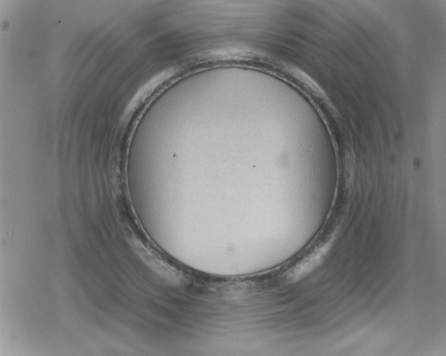 X0000079340930200612082020