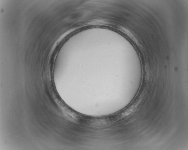 X0000079340931200612082020