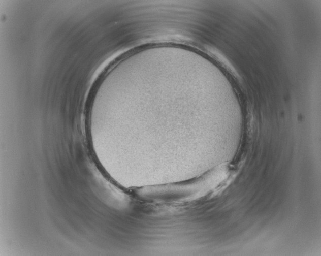 X0000079340932200612082020