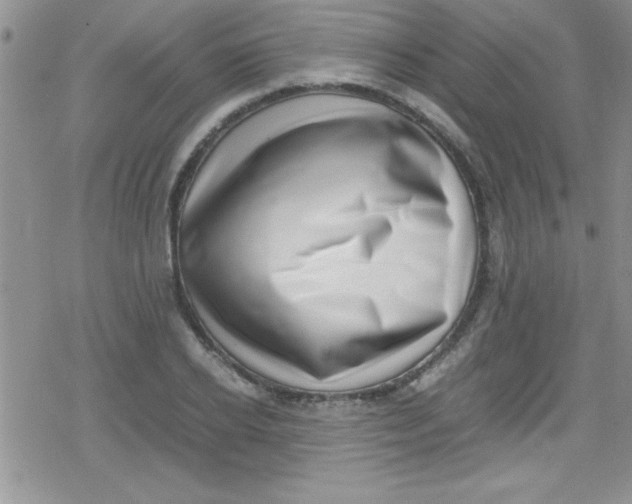 X0000079340934200612082021