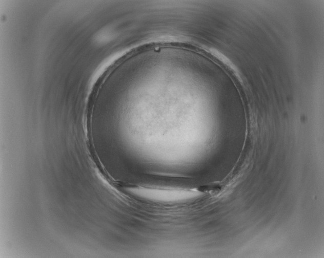 X0000079340935200612082021