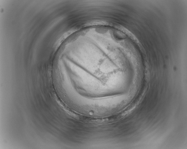 X0000079340937200612082021