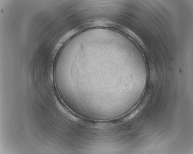 X0000079340938200612082021