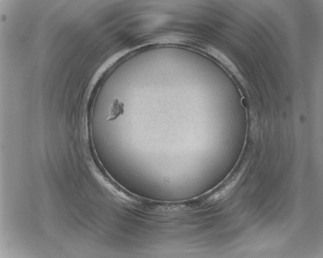 X0000079340939200612082021